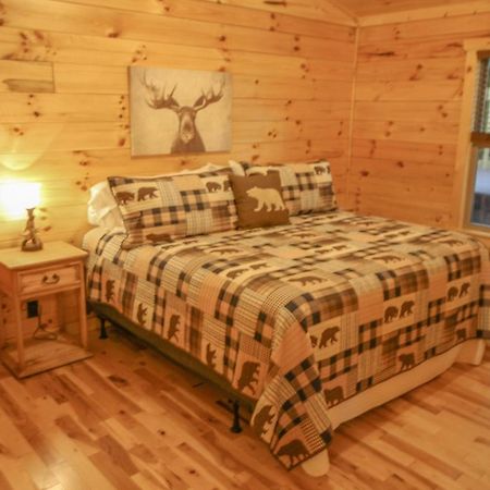 210 Cubs In The Treetops - Luxurious Cabin In جاتلينبرج المظهر الخارجي الصورة